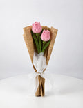 Duo de Tulipes