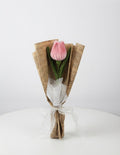 Douceur de Tulipe